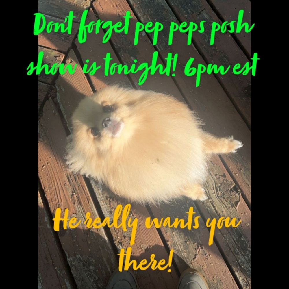 Pep peps 1st posh show!! Tonight 6pm est! Home goods and more! Low start!